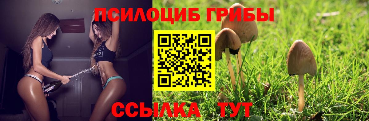 что такое наркотик  Псилоцибиновые грибы Magic Shrooms  Вход с VPN  Кострома 