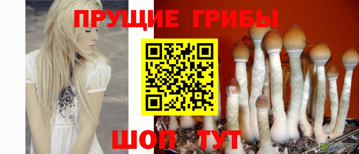 Галлюциногенные грибы прущие грибы Кострома